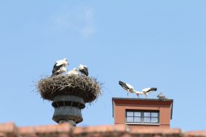 IMG_5819