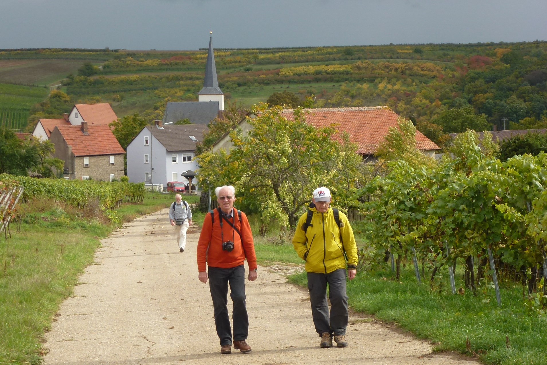 Männerrunde: Wandern in den Fränkischen Weinbergen