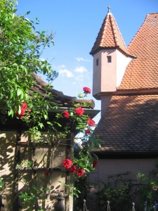 Juni 2013 067