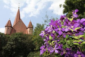 IMG_7716
