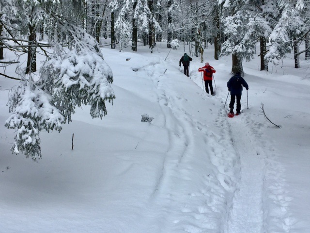 Männerrunde: Schneeschuhwandern im Bayerischen Wald