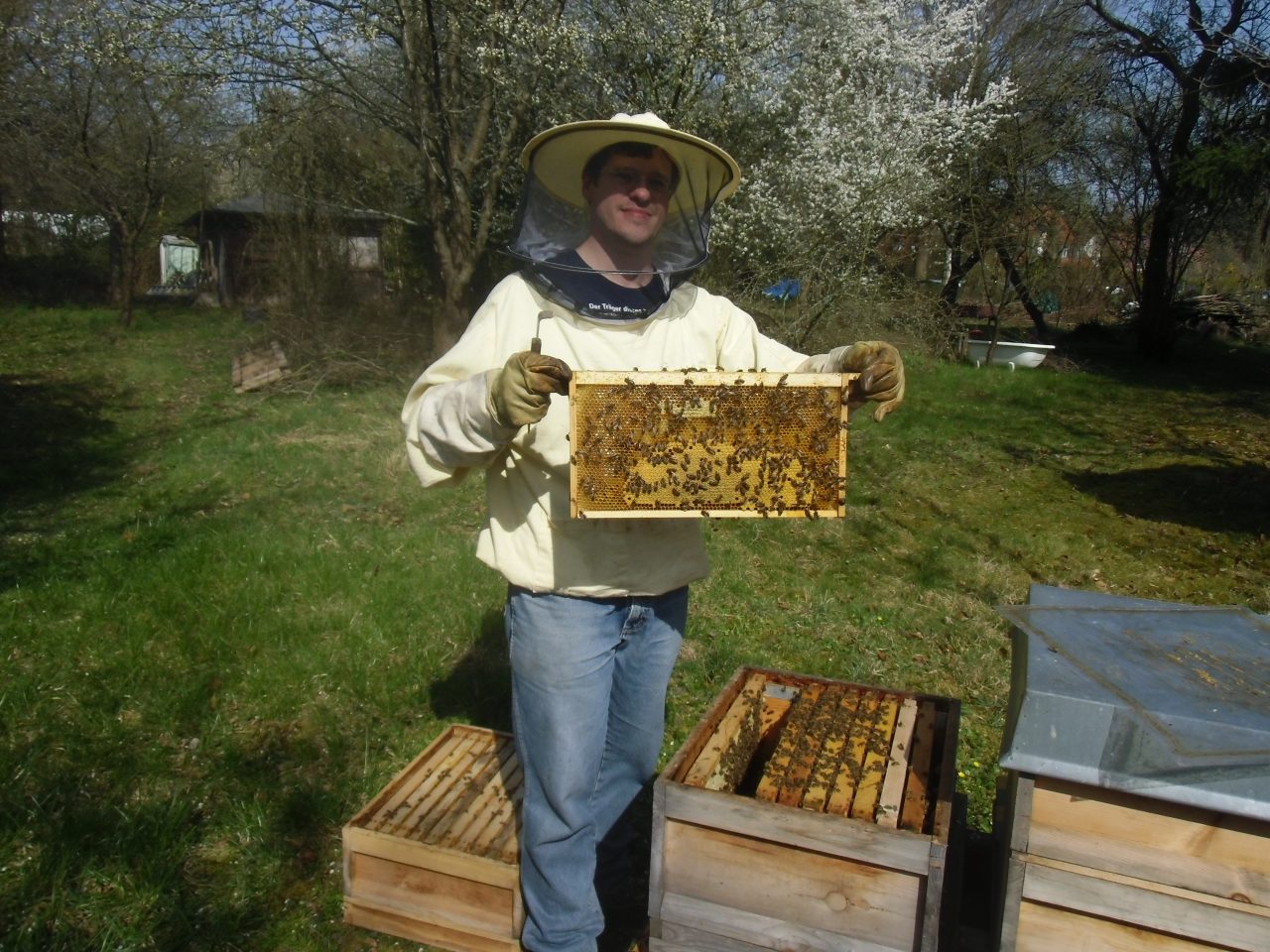 VachFrauen: „Gemeinsam durch das Bienenjahr“