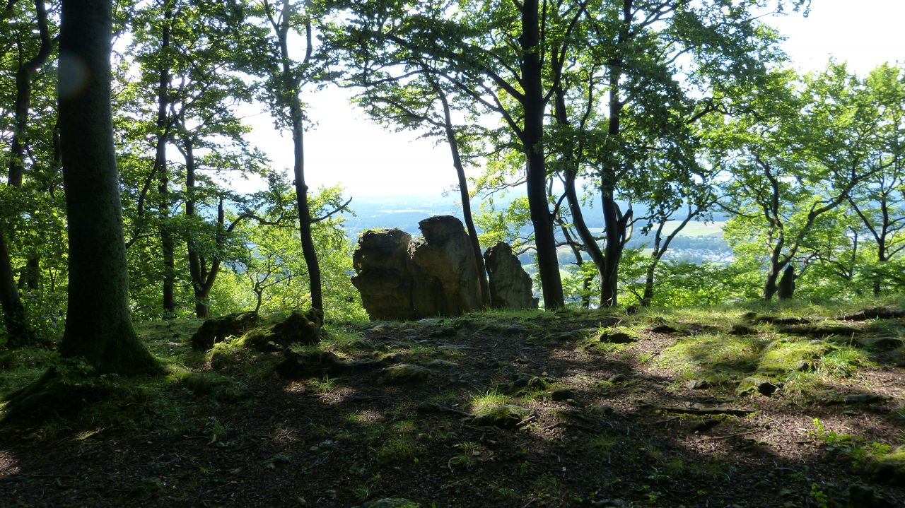 Männerrunde Vach: Wanderung zum Glatzenstein