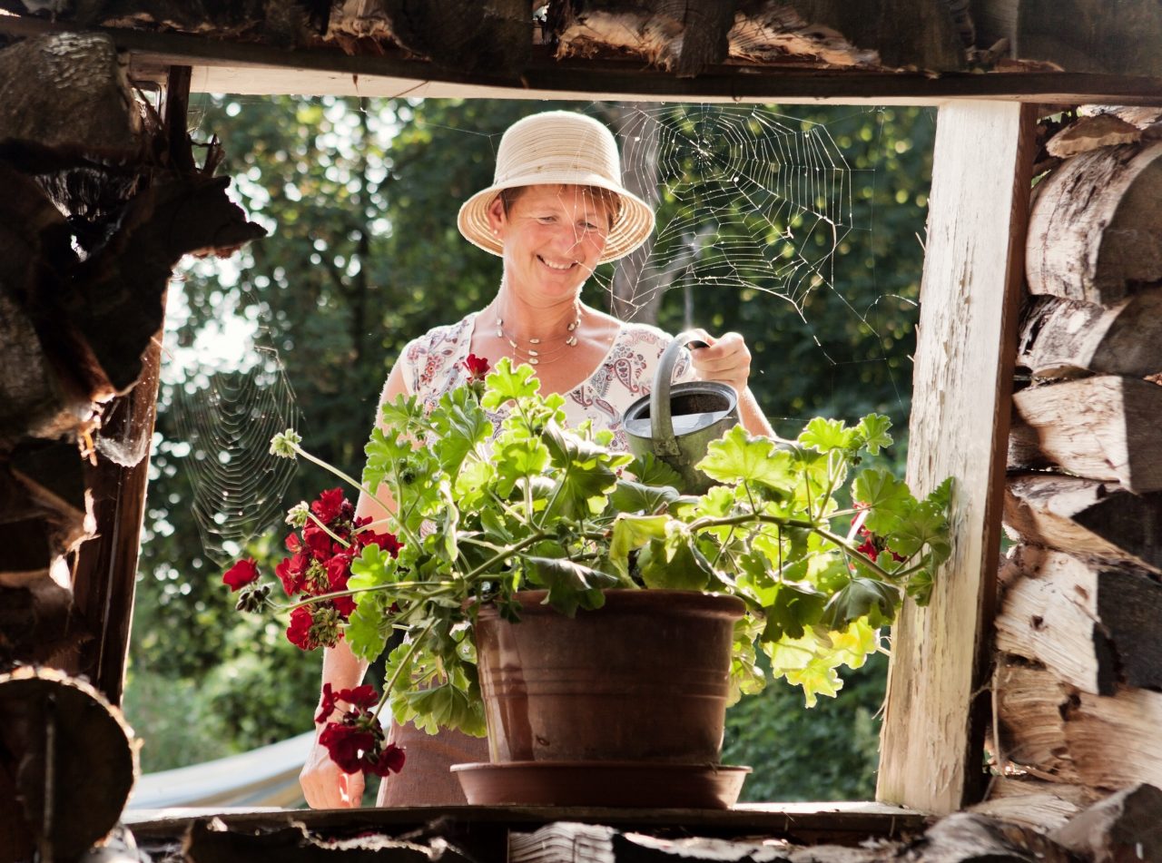 VachFrauen: "Besuch im Bauerngarten"