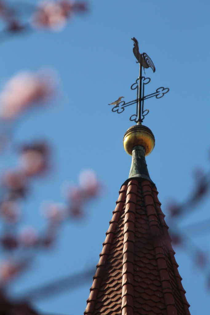 Jubelkonfirmation verschoben! Grund-Gottesdienst an unter Corona-Bedingungen findet statt!